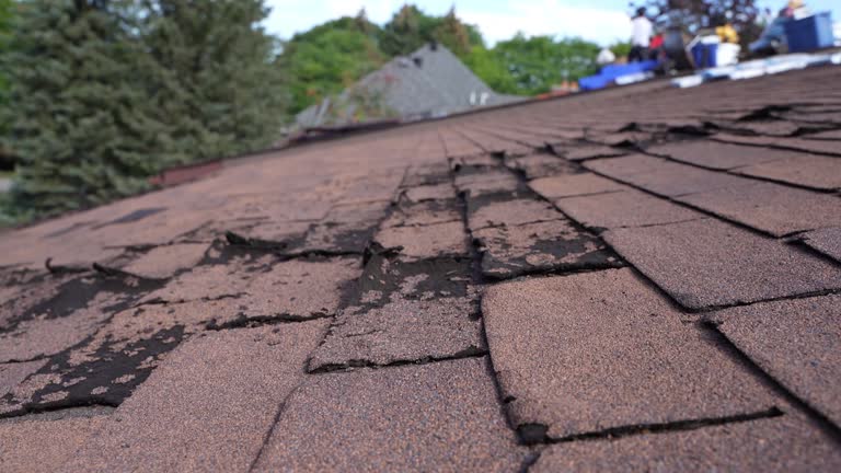 Best Asphalt Shingles Roofing  in Ephrata, PA